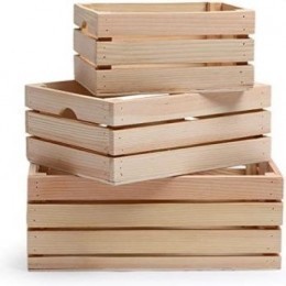 CUSTOM PRINTED ECO FRIENDLY WOODEN- FRUIT 10-20